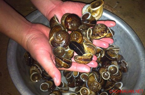 10 mon dac san ngon noi tieng cua tinh son la 7 - 10 món đặc sản ngon nổi tiếng của tỉnh Sơn La