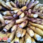 mang vau tay bac dac san quy nhung khong hiem 150x150 - Canh lá vả đặc sản tây bắc thơm ngon bổ dưỡng